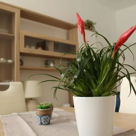 Ohana: Casa Nel Centro Di Hébergement de vacances Lecce